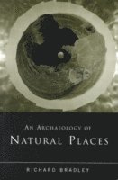 bokomslag An Archaeology of Natural Places