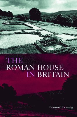 The Roman House in Britain 1