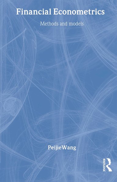 Peijie Wang - Financial Econometrics, Häftad