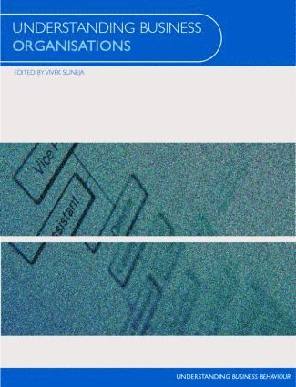 Understanding Business Organisations 1