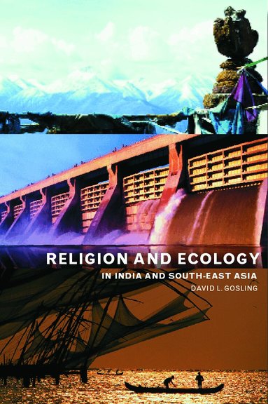 David L Gosling - Religion and Ecology in India and Southeast Asia, Häftad