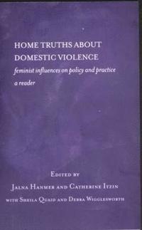 bokomslag Home Truths About Domestic Violence