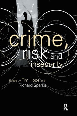 bokomslag Crime, Risk and Insecurity