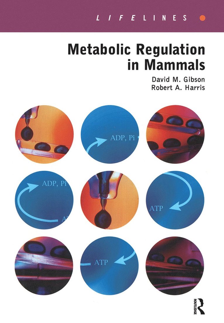 David Gibson, Robert A. Harris, USA) Gibson, David (Indiana School of Medicine, Indianapolis, USA) Harris, Robert A. (Indiana University School of Medicine, Indianapolis - Metabolic Regulation in Mammals, Inbunden