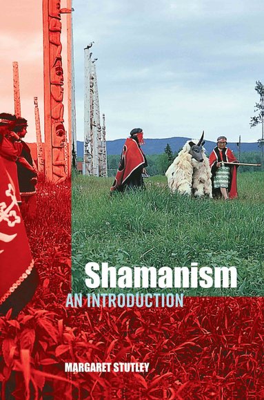 bokomslag Shamanism