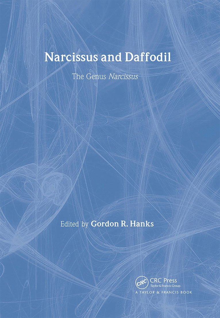 Narcissus and Daffodil 1