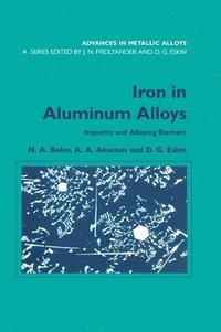bokomslag Iron in Aluminium Alloys