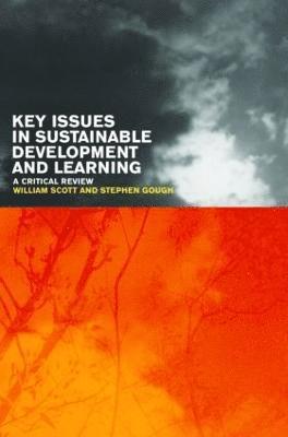 Key Issues in Sustainable Development and Learning: a critical review 1