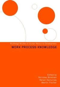 bokomslag Work Process Knowledge