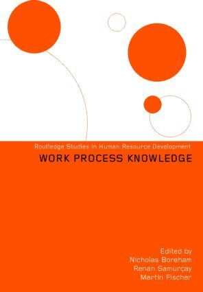 Nicholas Boreham, Martin Fischer, Renan Samurçay - Work Process Knowledge, Inbunden