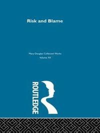 bokomslag Risk and Blame