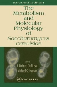 bokomslag Metabolism and Molecular Physiology of Saccharomyces Cerevisiae