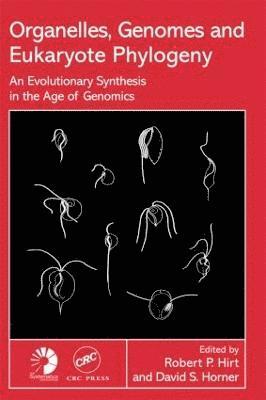 Organelles, Genomes and Eukaryote Phylogeny 1