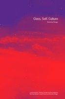 Beverley Skeggs - Class, Self, Culture, Häftad