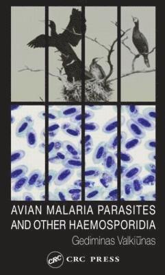 bokomslag Avian Malaria Parasites and other Haemosporidia