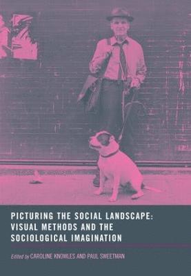 bokomslag Picturing the Social Landscape