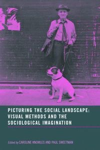 bokomslag Picturing the Social Landscape