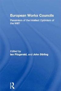 bokomslag European Works Councils