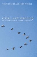 Meter and Meaning 1