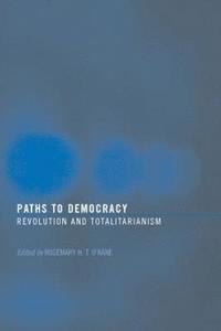 bokomslag Paths to Democracy
