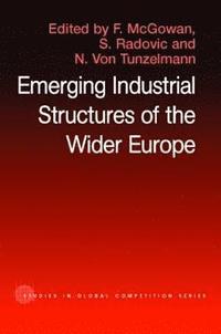 bokomslag The Emerging Industrial Structure of the Wider Europe