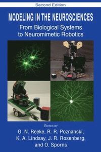 bokomslag Modeling in the Neurosciences