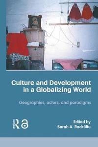 bokomslag Culture and Development in a Globalizing World