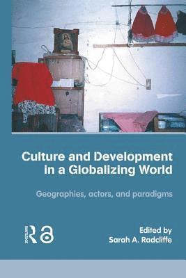 Culture and Development in a Globalizing World 1