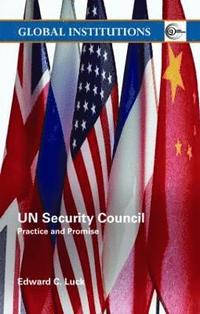 bokomslag UN Security Council