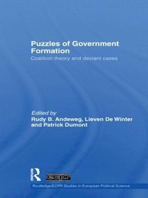 bokomslag Puzzles of Government Formation