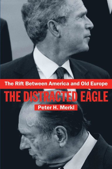 bokomslag Rift Between America and Old Europe