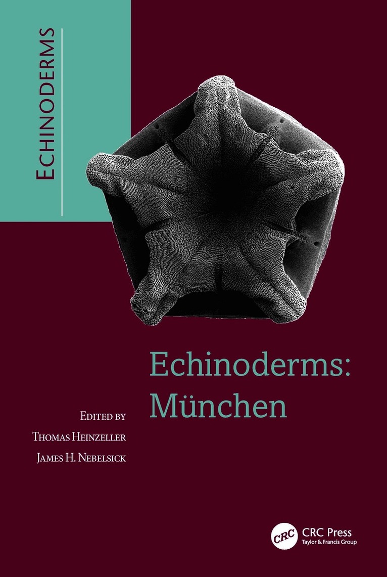 Echinoderms: Munchen