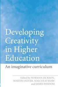 bokomslag Developing Creativity in Higher Education