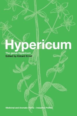 Hypericum 1