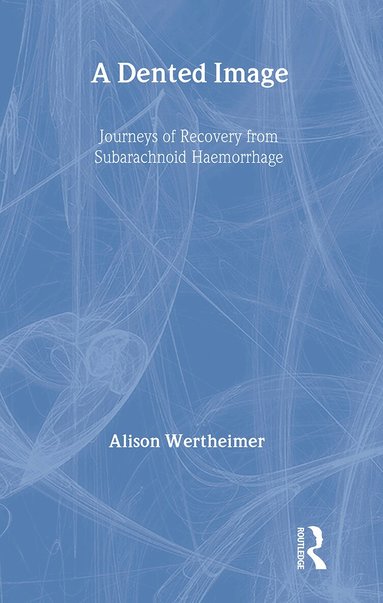 Alison Wertheimer - Dented Image, Inbunden