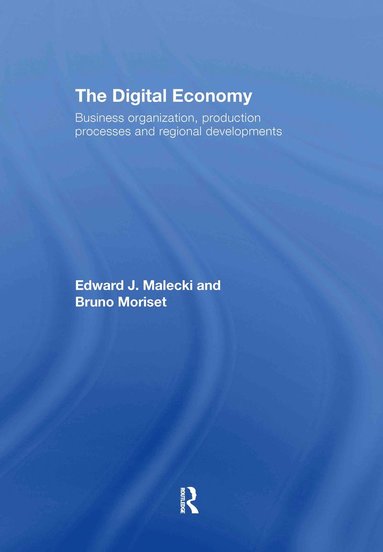 bokomslag Digital Economy
