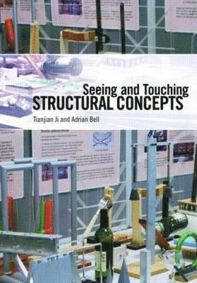 Seeing and Touching Structural Concepts 1