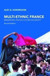 bokomslag Multi-Ethnic France