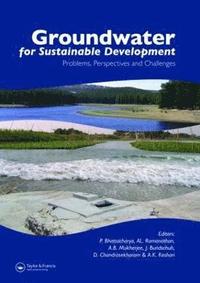 bokomslag Groundwater for Sustainable Development