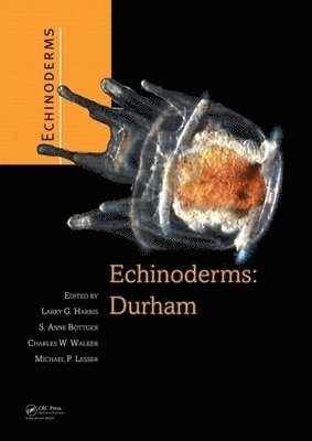 Echinoderms: Durham 1