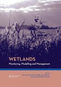 bokomslag Wetlands: Monitoring, Modelling and Management