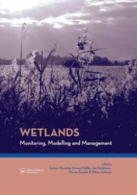 Wetlands: Monitoring, Modelling and Management 1