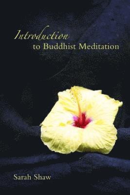 bokomslag Introduction to Buddhist Meditation