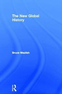 bokomslag The New Global History