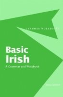 bokomslag Basic Irish: A Grammar and Workbook