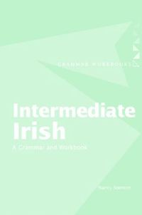 bokomslag Intermediate Irish: A Grammar and Workbook