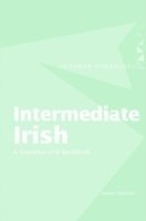 Intermediate Irish: A Grammar and Workbook 1