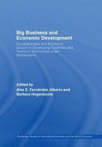 bokomslag Big Business and Economic Development