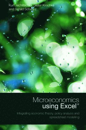 bokomslag Microeconomics using Excel