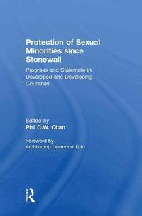 bokomslag Protection of Sexual Minorities since Stonewall